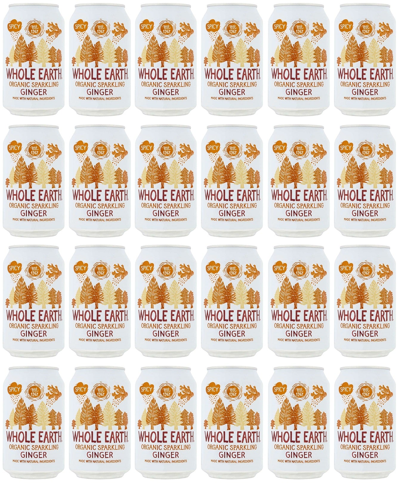 24 x Whole Earth Sparkling Ginger - 330ml