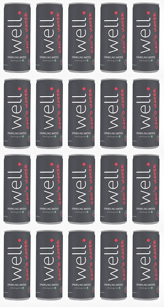 20 x Well Canned Water Sparkling