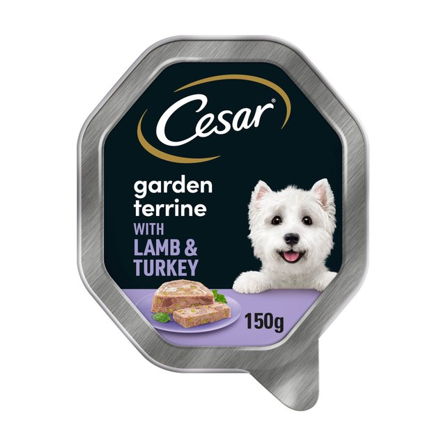 14 x Cesar Garden Terrine Dog Food Tray Lamb Turkey & Green Beans In Loaf 150G
