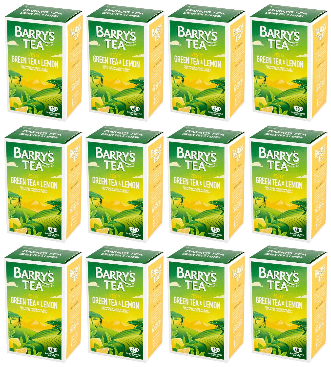 12 x Barry's Tea Green Tea & Lemon 40 Biodegradable Tea Bags 80G
