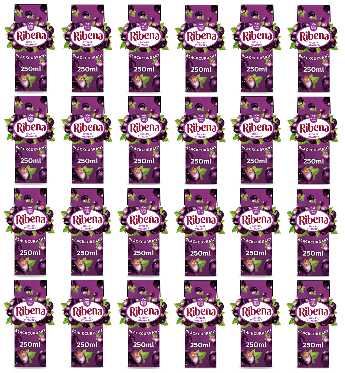 24 x Ribena Blackcurrant Carton 250Ml