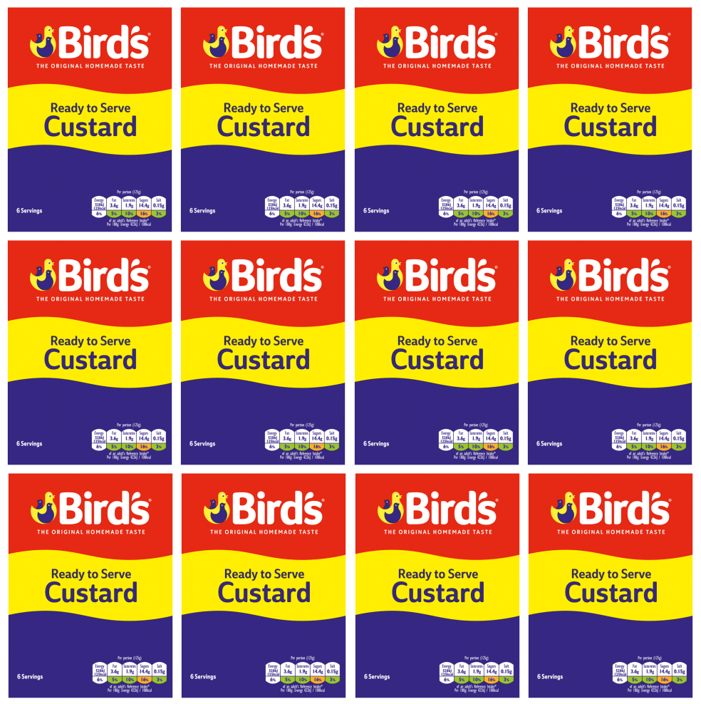 12 X Birds Custard Ready To Eat Tetra 750G