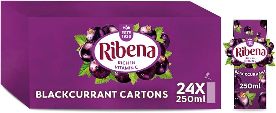 24 x Ribena Blackcurrant Juice Drink Carton 250Ml