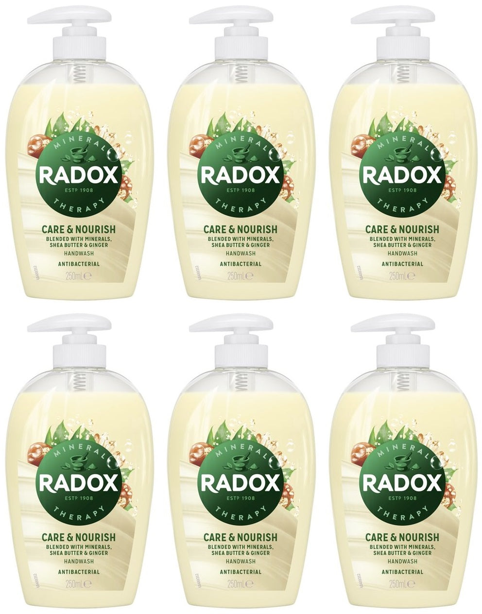 6 x Radox Antibac And Nourish Handwash 250Ml