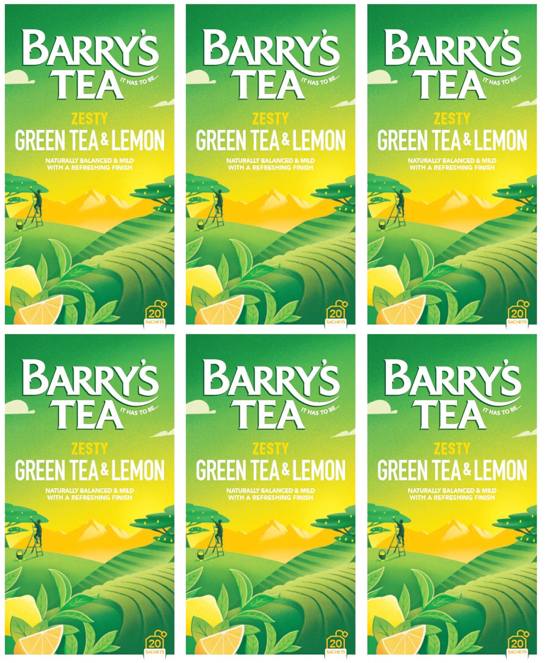 6 x Barrys Tea 20 Green Tea & Lemon String  30G