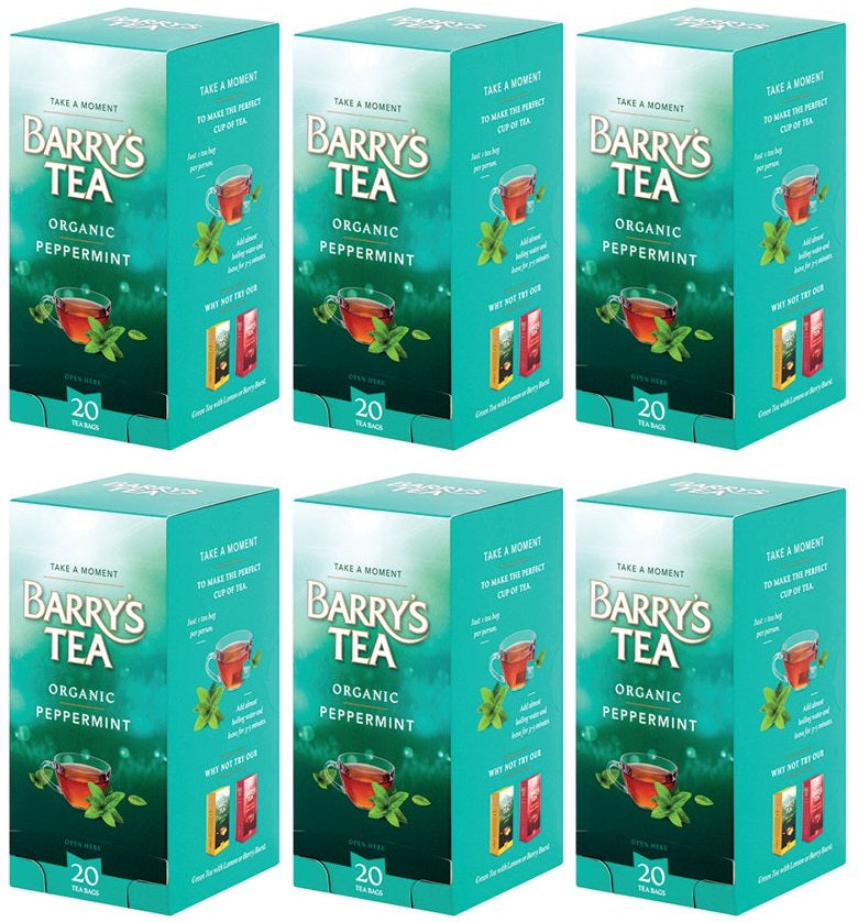 6 x Barry's Tea 20 Organic Peppermint 30G