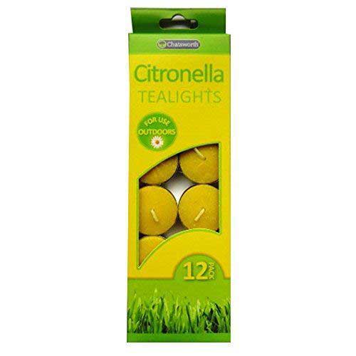 24-x-Citronella-Tealights-12-Pack