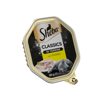 22-x-Sheba-Cat-Terrine-Chicken-85Gm